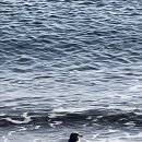 백사장민박 이미지