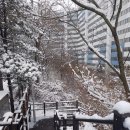 피그먼트엔터식스