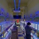 오락조아 이미지