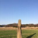 진주 대천리 입석 이미지