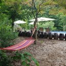 김삿갓 계곡 캠핑장 이미지