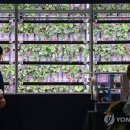 헬스푸드테크
