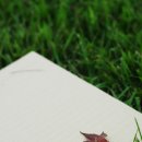 대치동학원 이미지