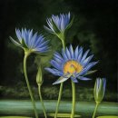 보태니컬아트 이미지