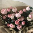 플로라제이 이미지