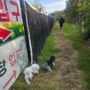 보운농장 이미지