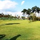 파크골프장 이미지