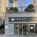 그루밍, 모아 이미지