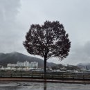 무주읍130 이미지