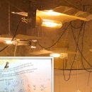 형제농장-2 이미지