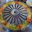 장수갈매기 이미지