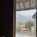 악양골 | 뚜벅이 하동 구례 :: 따신골 녹차정원, 화개터미널, 구례옥잠, 구례 지리산오여사