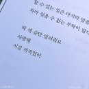토카