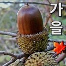 천고마비의 계절 이미지