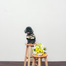 스튜디오0717 이미지