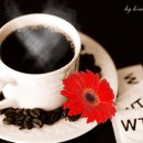 Emmylou Harris - Pledging My Love 이미지