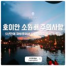 수치 선착장 | 호이안 소원배 타는곳 사기 당한 후기