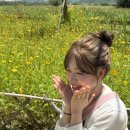 경훈목장 이미지