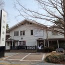 비노하우스더포레스트