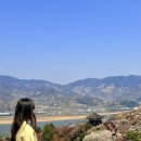 본마을2길 9 | 당일치기 버스여행으로 광양 매화축제, 현천마을 산수유 다녀온 내돈내산후기