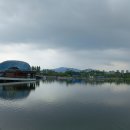 호수공원소나무숲길 이미지