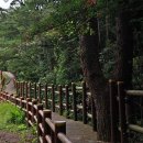 추사 유배길 - 3코스 사색의 길 이미지