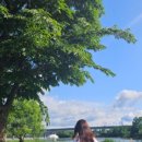 다원포레스트독채펜션 이미지