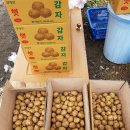 원 농장 이미지