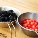 백우농장 이미지