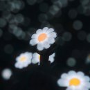 I.N.G 스크린골프 | 지드래곤 영화 지드래곤 인 시네마 위버맨쉬 싱어롱 관람