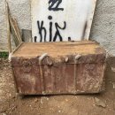 나무안에서 이미지