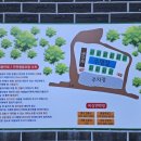 더 라이온 글램핑 이미지