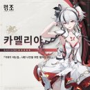 카멜리아 이미지