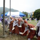 태풍 피해 입은 정이품송 본래 모습 되찾기를 기원 이미지