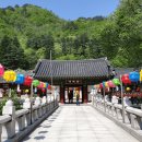 마음이 이끄는 곳, 추천 국내 여행지 BEST 4 이미지