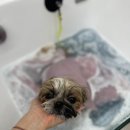 쁘띠아키 이미지