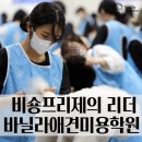 바닐라애견미용학원