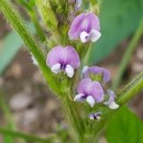 풍성농원 이미지