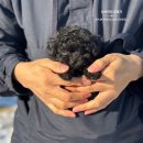 토이켄넬 이미지