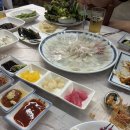 JD호스텔 | 독도여행