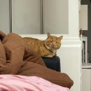 인생건어물춘천 | 춘천은 이게 일상이야｜당일치기 코스 추천｜카페·맛집·야장 감성 맥주집까지 완벽 정복