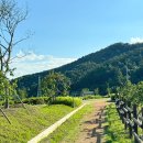 동구리호수공원잔디광장 이미지