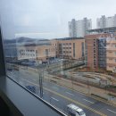 용인대 서연 태권도 이미지