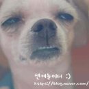 서울앤연세이비인후과의원 이미지