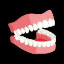 서울금플란트치과의원 이미지