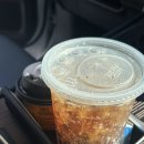 라스베가스 | 미국자유여행 라스베가스 스피어 관람 후기 + 불의계곡, 지온캐년