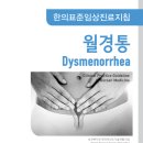 월경통 한의표준임상진료지침 이미지