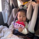 맘모스찜닭 | 안동여행/중앙문화의거리(맘모스베이커리,신세계찜닭)