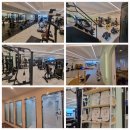 피티 인(PT IN) 이미지