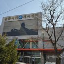 용문국민체육센터 체육관 | 양평 용문국민체육센터 수영장 자유수영(평일, 주말 일일 자유수영)